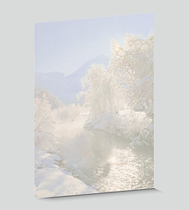 Design-Papier 427