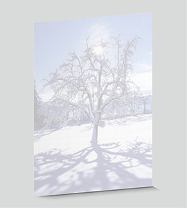 Design-Papier 458