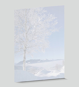 Design-Papier 571