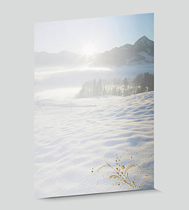 Design-Papier 581