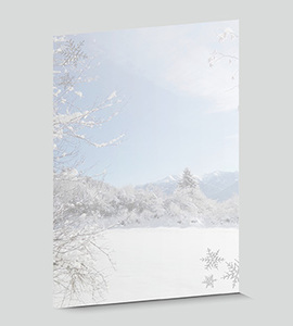 Design-Papier 625