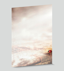 Design-Papier 763