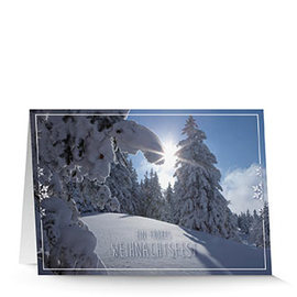 Weihnachtskarte 8839