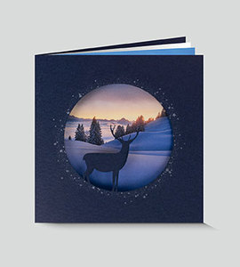 Weihnachtskarte 8973