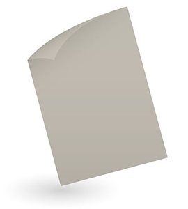 A4 Papier 120 g/m² tourterelle