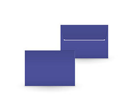 Couvert infra violet C6