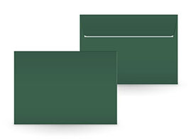 Couvert cactus green C5