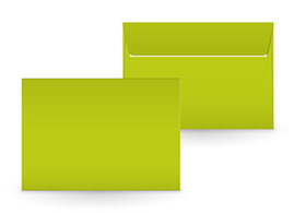 Couvert lime tonic C5